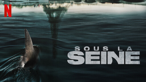 Affiche sous la seine